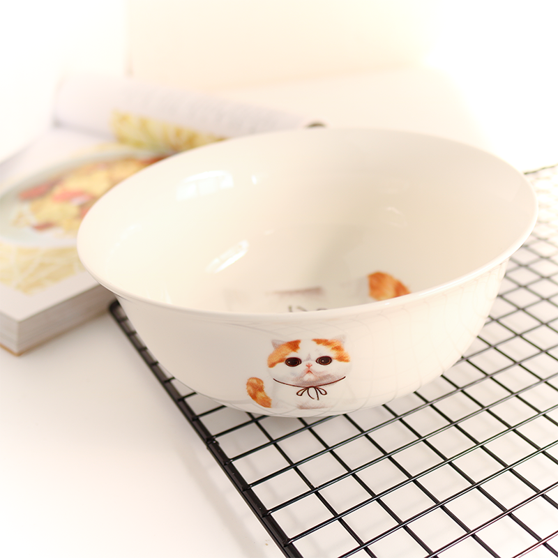 Ceramic Bowl HD Tableware Garfield