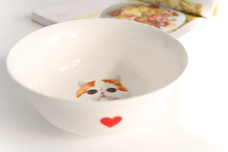 Ceramic Bowl HD Tableware Garfield