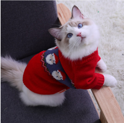 Cat warm clothes