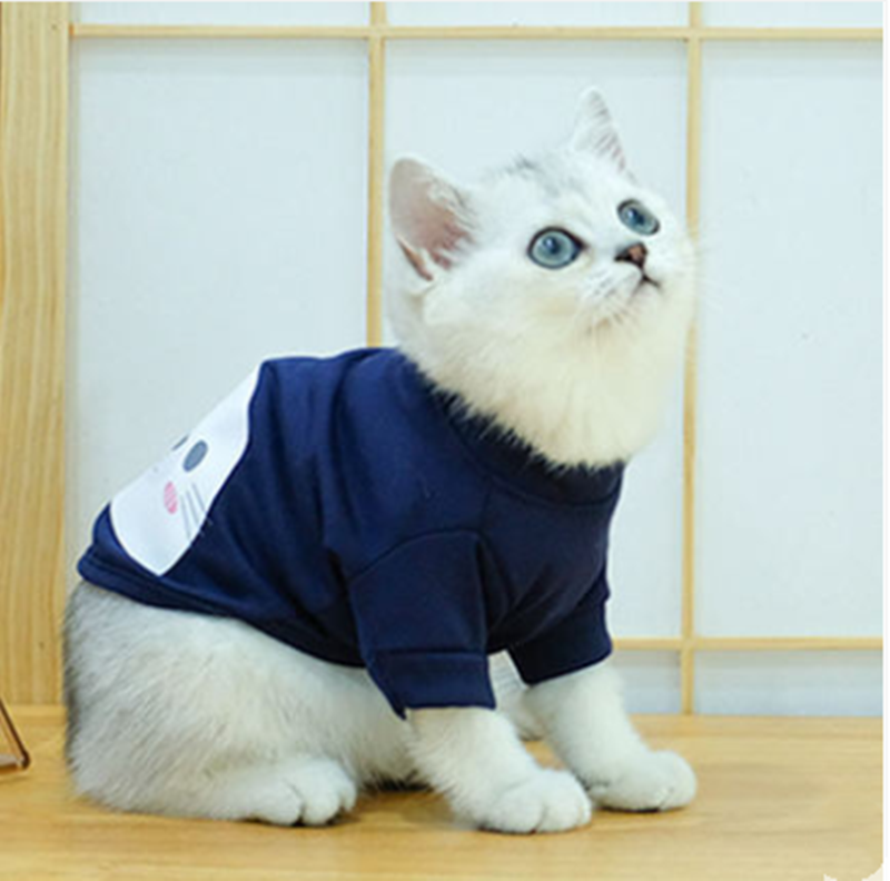 Cats wear spring and summer clothes