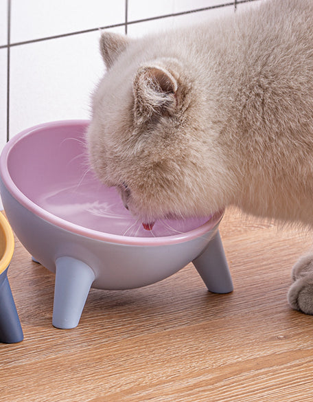 Cat Bowl Dog Bowl Cat Food Bowl