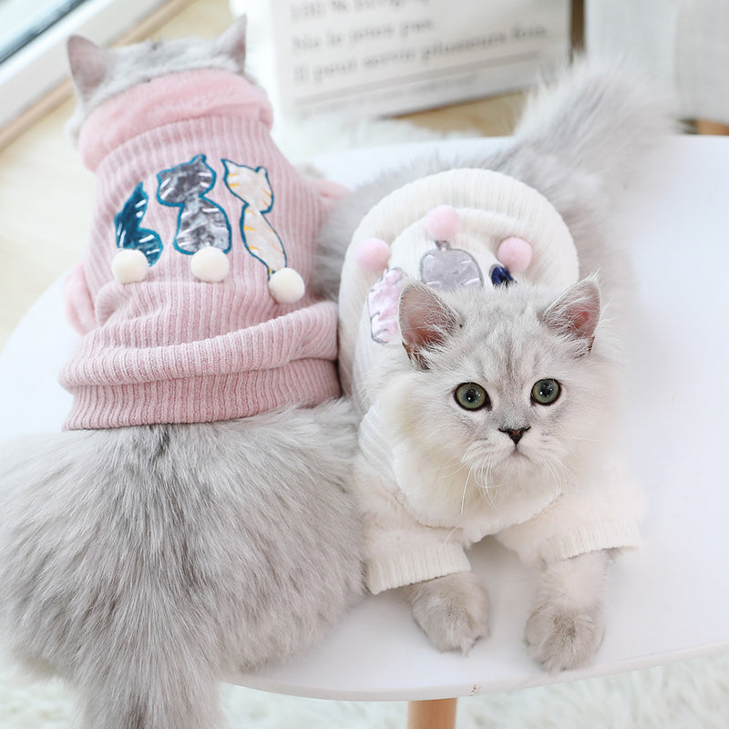 Cats dress for autumn and winter